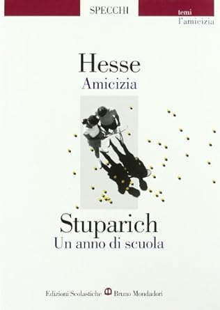 AMICIZIA/UN ANNO DI SCUOLA
