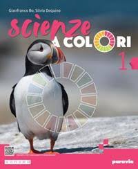 SCIENZE A COLORI - VOLUME 1 CON SPAZIO STEM